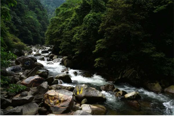 神农谷国家森林公园(图4)