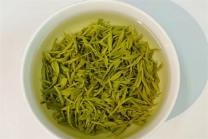 莫干黄芽 - 和风乐游农庄