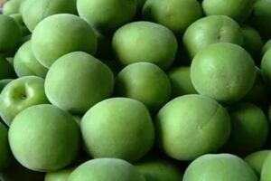 溧水青梅 - 和风乐游农庄