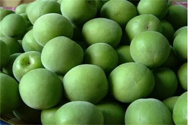 溧水青梅(图2)
