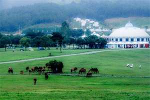 木兰草原 - 和风乐游农庄