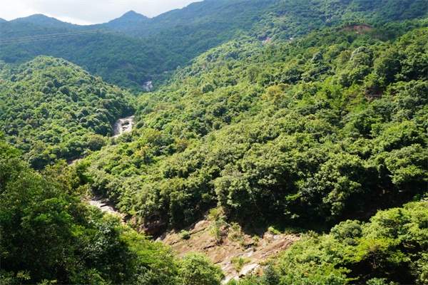 大丰门景区(图3)