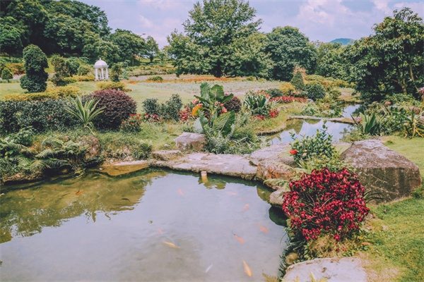 二龙山花园(图1)