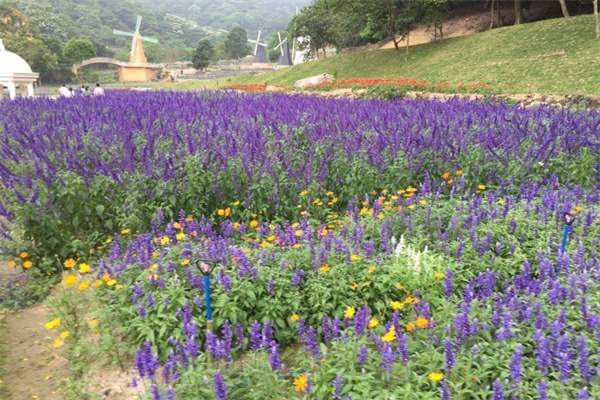 二龙山花园(图3)