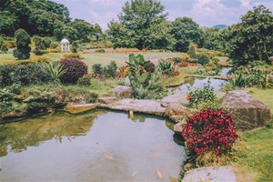 二龙山花园 - 和风乐游农庄