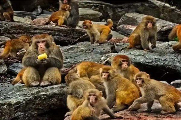 关山国家地质公园(图3)