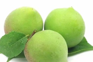 陆河青梅 - 和风乐游农庄