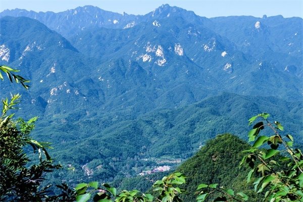 十八垛原始森林(图1)