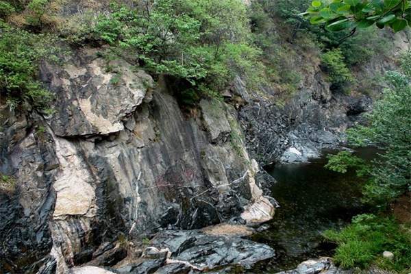 十八垛原始森林(图2)