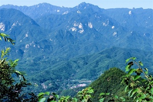 十八垛原始森林 - 和风乐游农庄