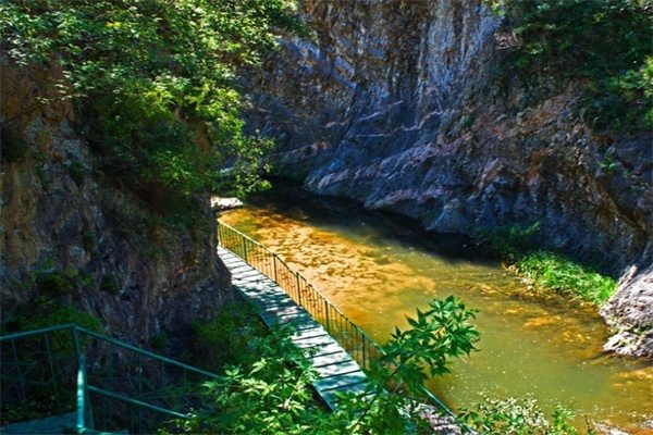 十八垛原始森林(图3)