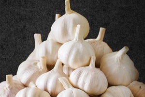 大安蒜 - 和风乐游农庄