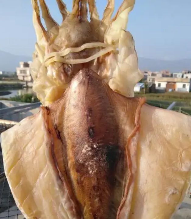 金厢鱿鱼干(图1)