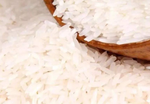 海丰油占米(图3)