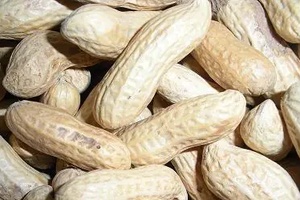 新昌小京生 - 和风乐游农庄