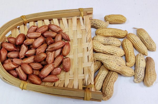 新昌小京生(图3)