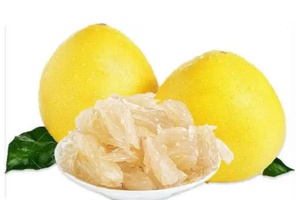 梅州金柚 - 和风乐游农庄