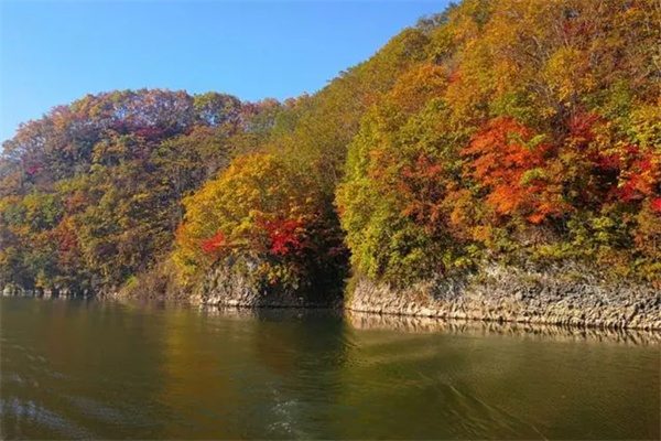 黄椅山火山森林公园(图3)