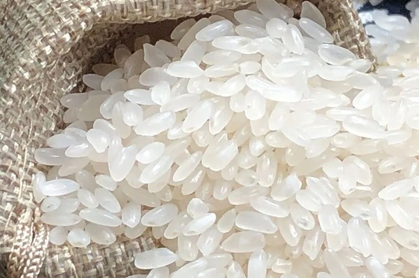 罗浮山大米(图1)