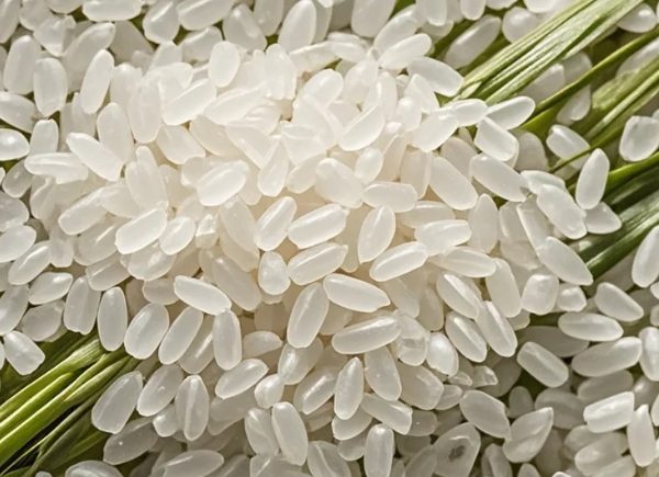 罗浮山大米(图3)