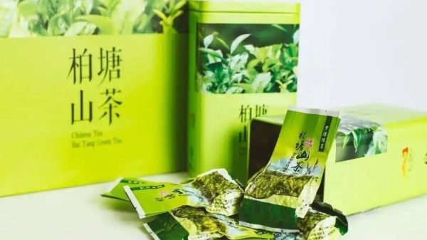 柏塘山茶(图4)