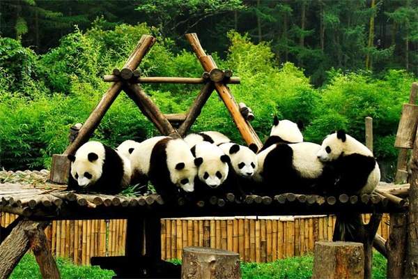 竹海野生动物园(图2)