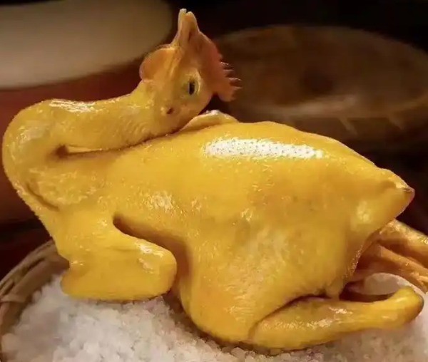 信宜怀乡鸡(图4)