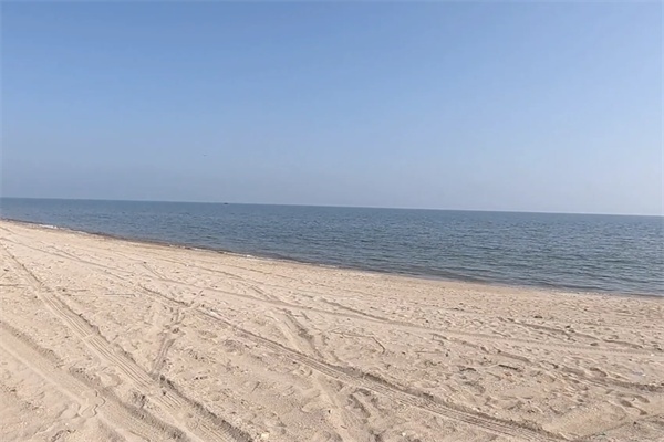 绥中电厂海滩(图1)