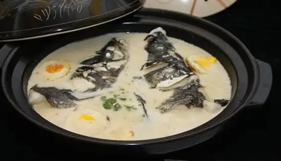 花亭湖鳙鱼(图3)