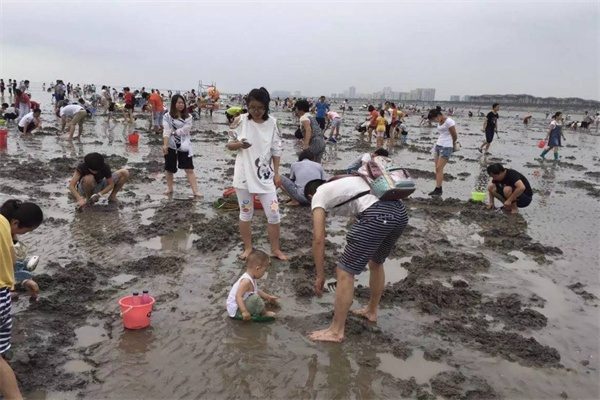 蟹贝湾(图3)