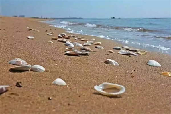蟹贝湾(图2)