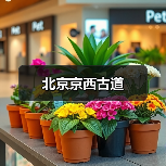 北京京西古道(图4)
