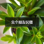 交个朋友民宿(图3)