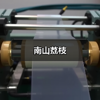 南山荔枝(图1)