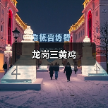 龙岗三黄鸡(图4)