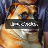 山中小筑农家乐(图4)