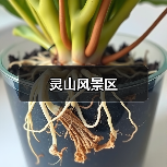 灵山风景区(图2)