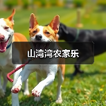 山湾湾农家乐(图2)