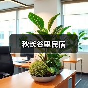 秋长谷里民宿(图4)