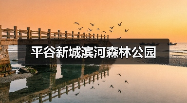 平谷新城滨河森林公园(图3)