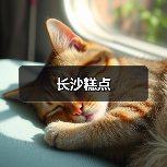 长沙糕点(图3)