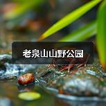 老泉山山野公园(图4)