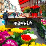 平谷桃花海(图3) 平谷桃花海(图3)