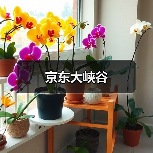 京东大峡谷(图4)