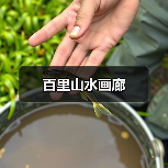 百里山水画廊(图1)