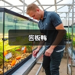 酱板鸭(图1) 酱板鸭(图1)