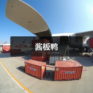 酱板鸭(图2) 酱板鸭(图2)