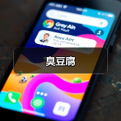 臭豆腐(图1)