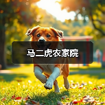 马二虎农家院(图4)