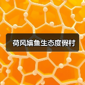 荷风嬉鱼生态度假村(图4) 荷风嬉鱼生态度假村(图4)